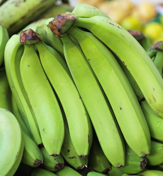 Banana