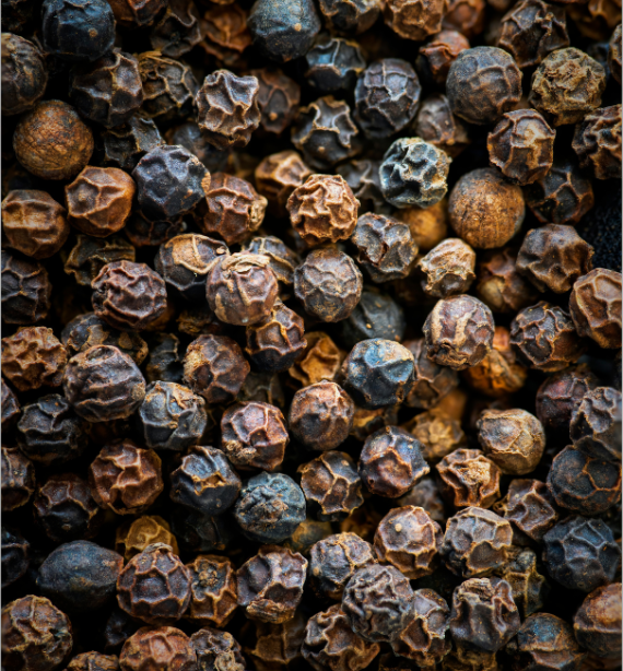 Black Pepper